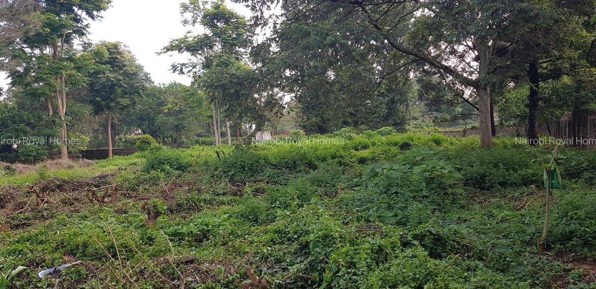 Residential Land at Shanzu Road - 10