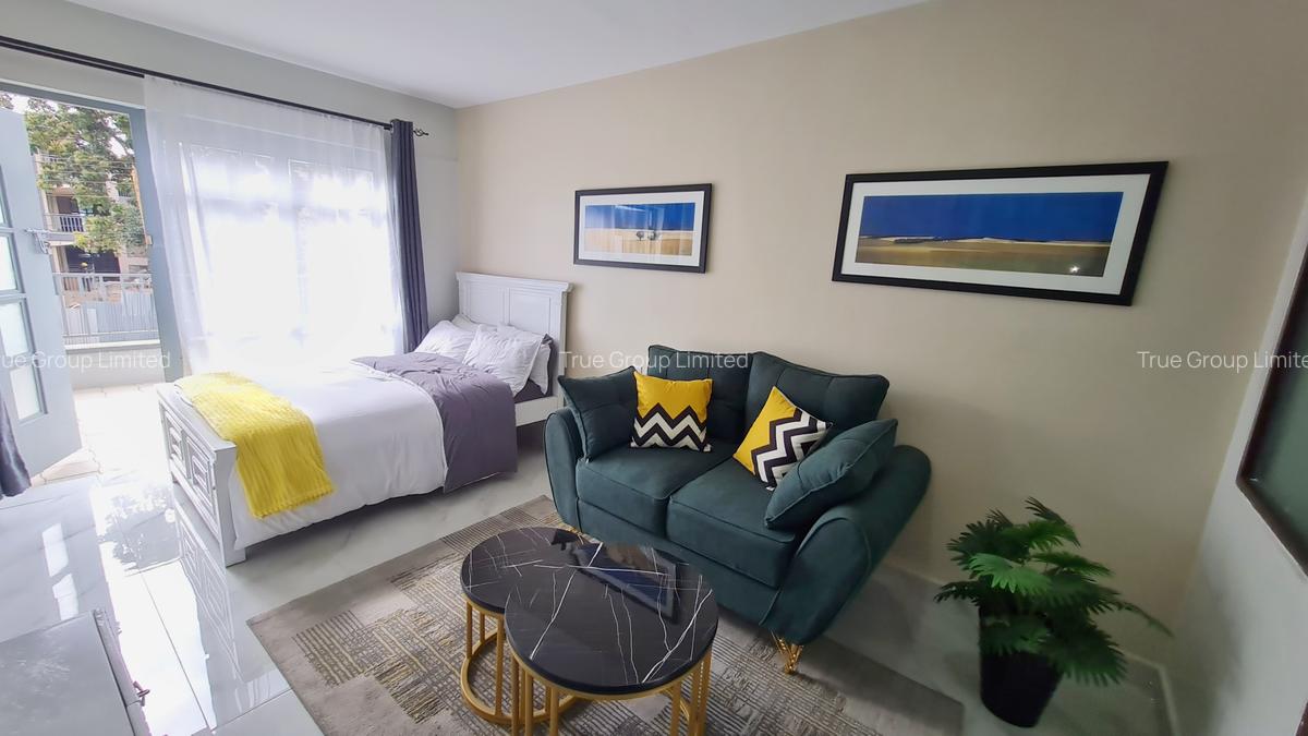 Serviced Studio Apartment with Gym at Off Naivasha Road - 6