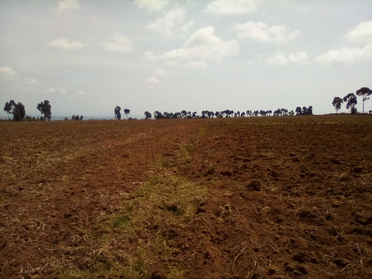 Land at Timau - 7