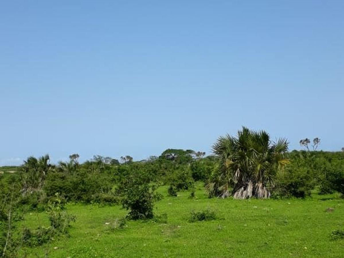 202,350 m² Land in Vipingo - 6