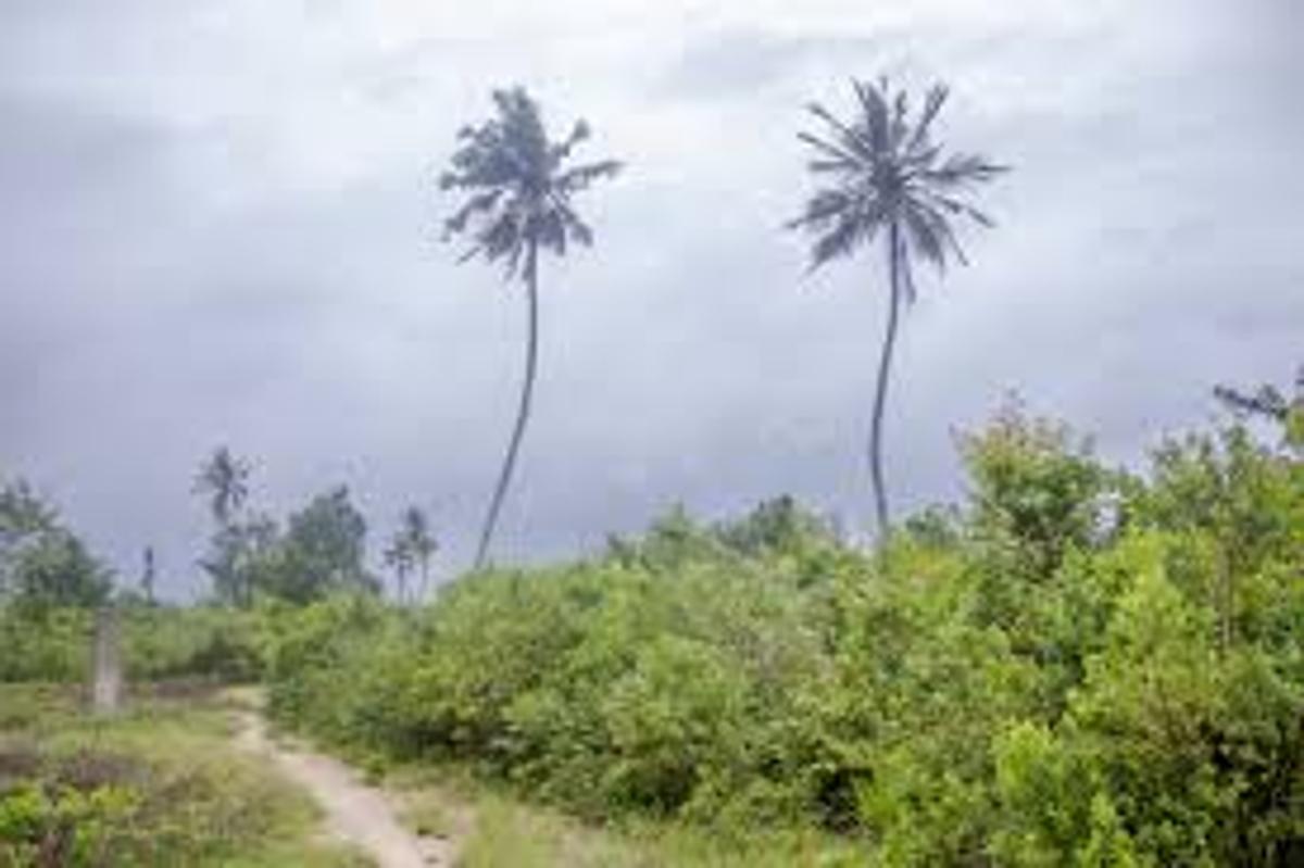 5,000 ac Residential Land in Diani - 7