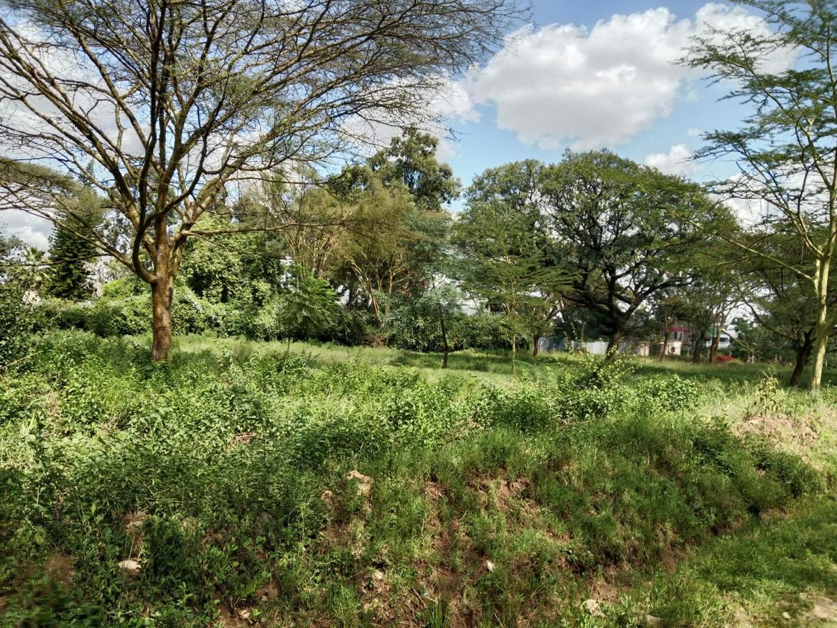 Land at Roysambu - 8