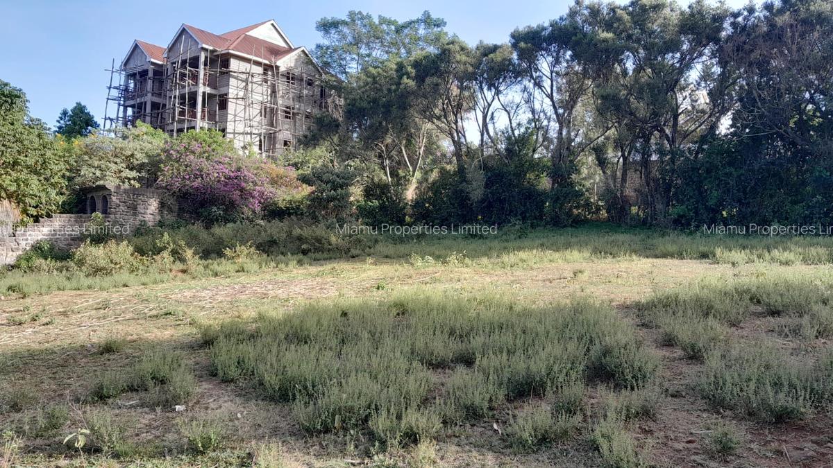 Land at Mayor Road - 1