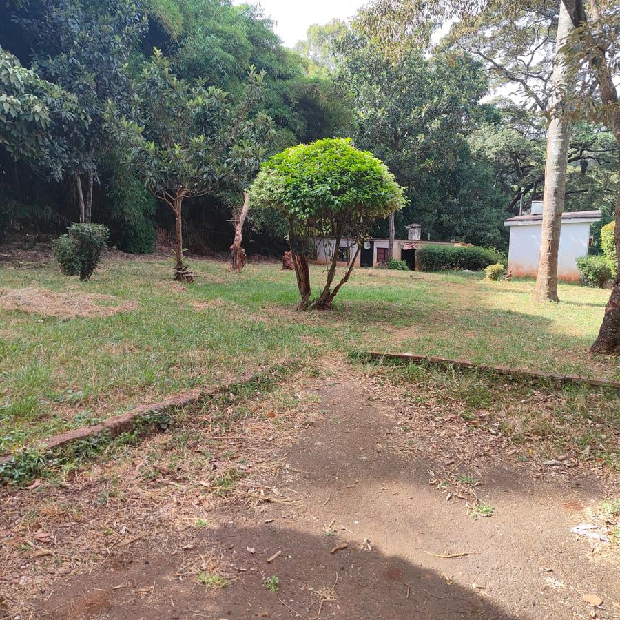 4.1 ac Land at Farasi Lane - 16