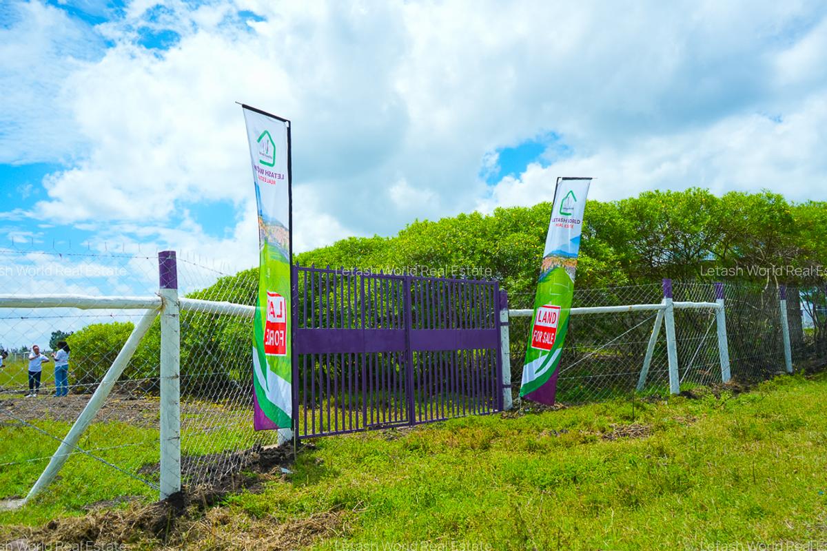 Residential Land in Naivasha - 1