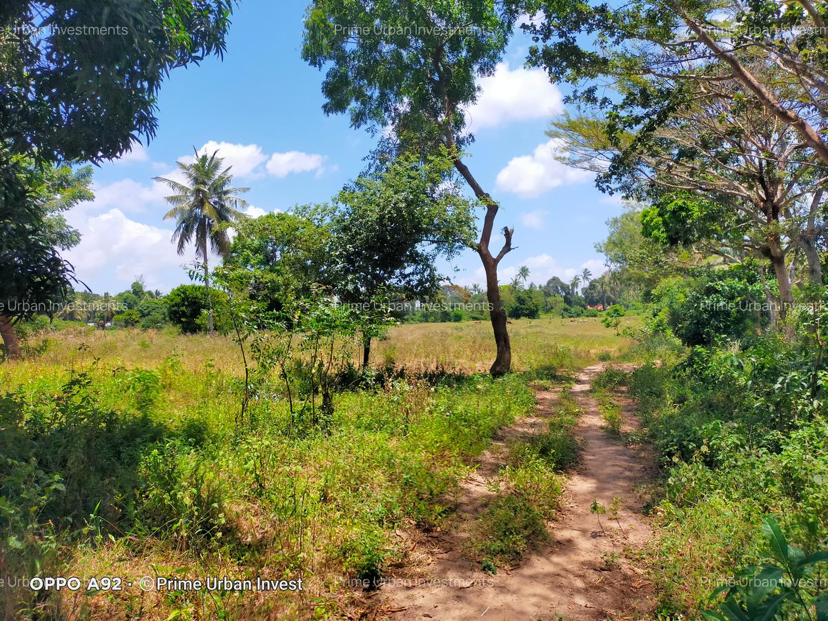 Land in Mtwapa - 19