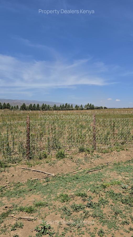 Residential Land at Moi Ndabi - 6