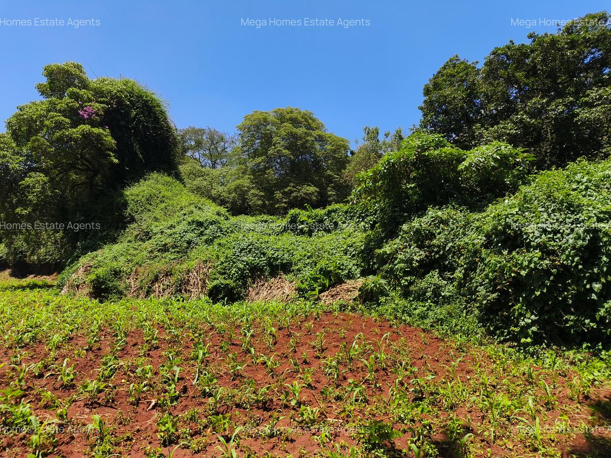 Land in Kitisuru - 5