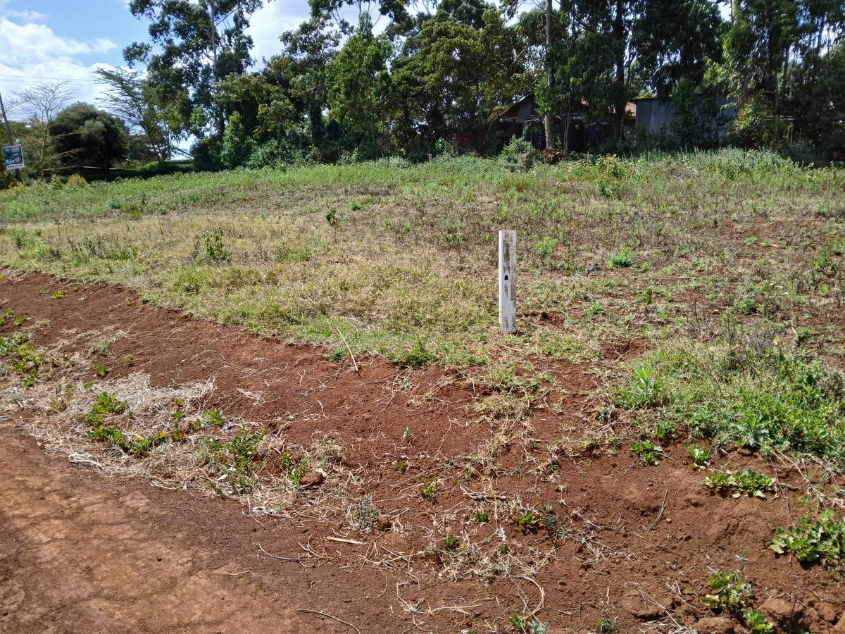 0.05 ac Residential Land at Kamangu - 4