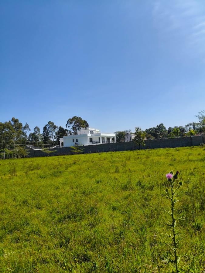 Residential Land at Marula Road - 2