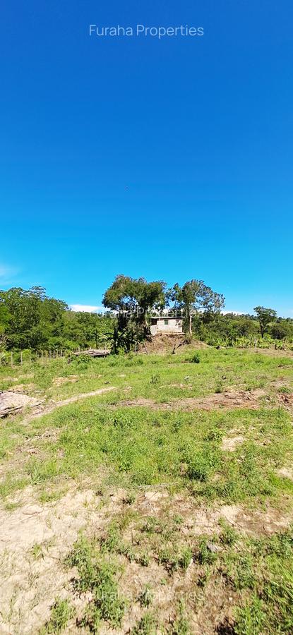 Land at Msambweni - 8