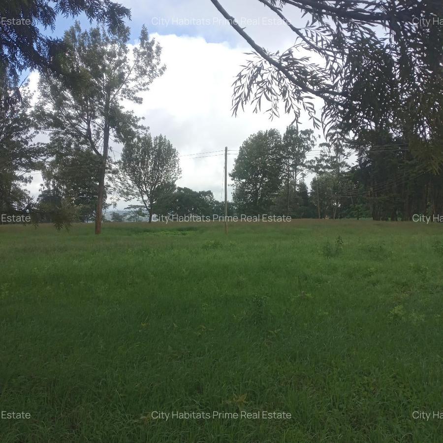 1 ac Residential Land in Rironi - 1