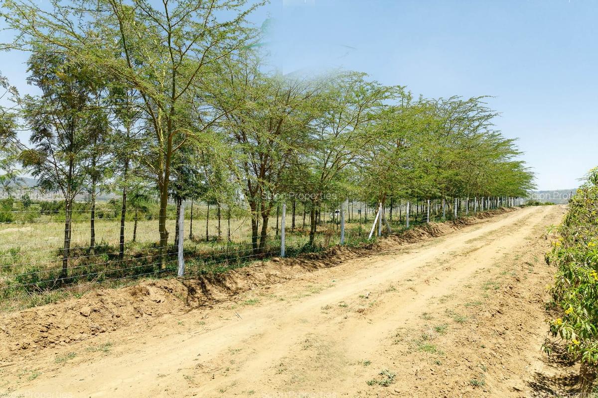 0.125 ac Residential Land in Naivasha - 5
