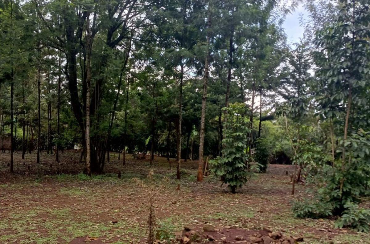 0.5 ac Residential Land at Three Dee Lane - 3