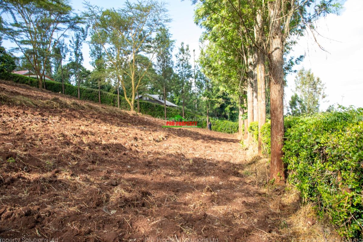 0.809371 ha Residential Land at Matasia - 11