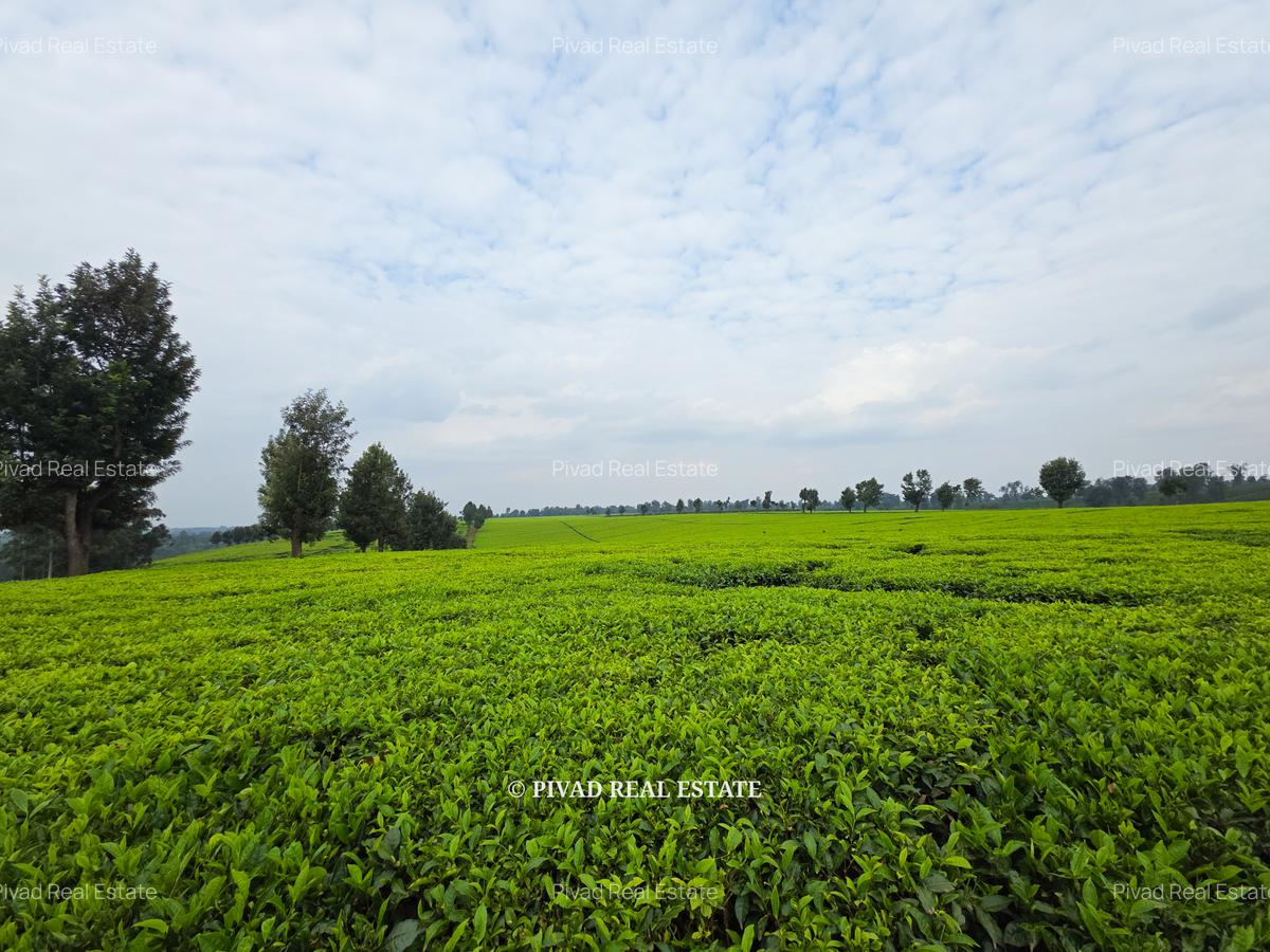 995 ac Land in Tigoni - 2