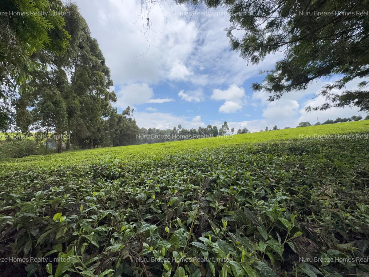 1 ac Land in Tigoni - 4