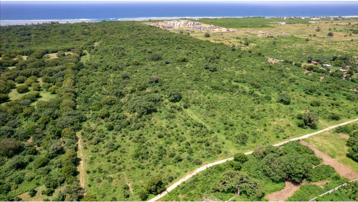 2,000 m² Land at Vipingo Kuruwitu - 1