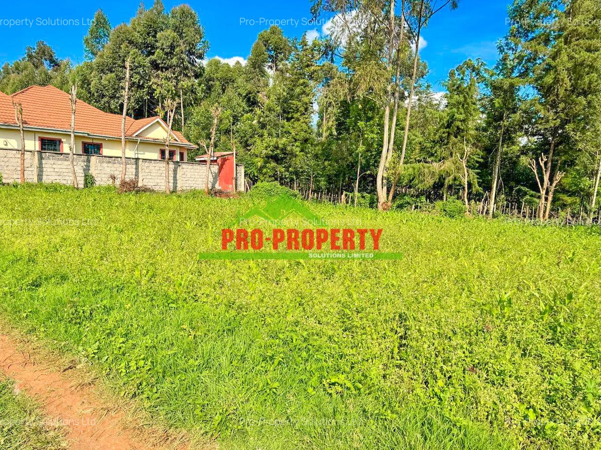 0.1 ha Residential Land at Ondiri - 6