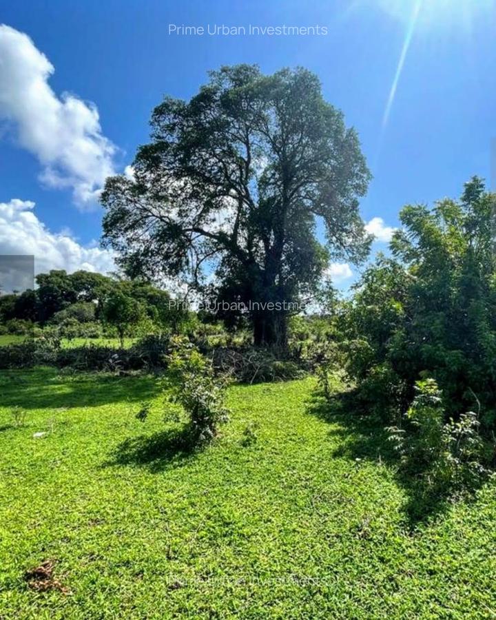 Land at Kuruwitu Beach Vipingo - 16