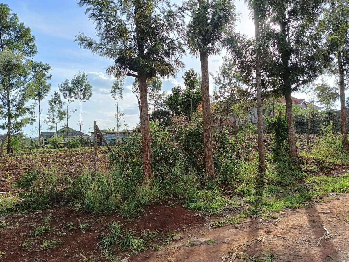 Residential Land at Kiambu Road - 5