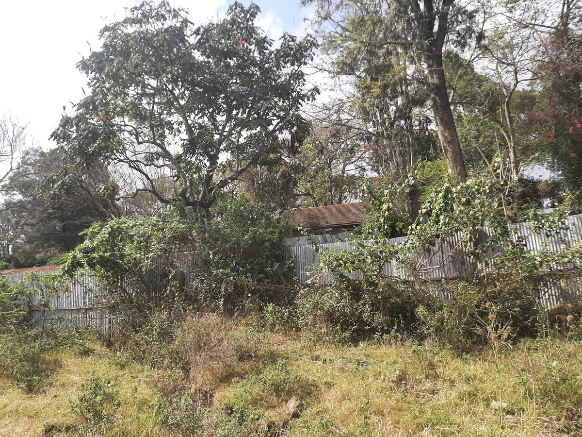 Commercial Land at Karen Langata Road - 4