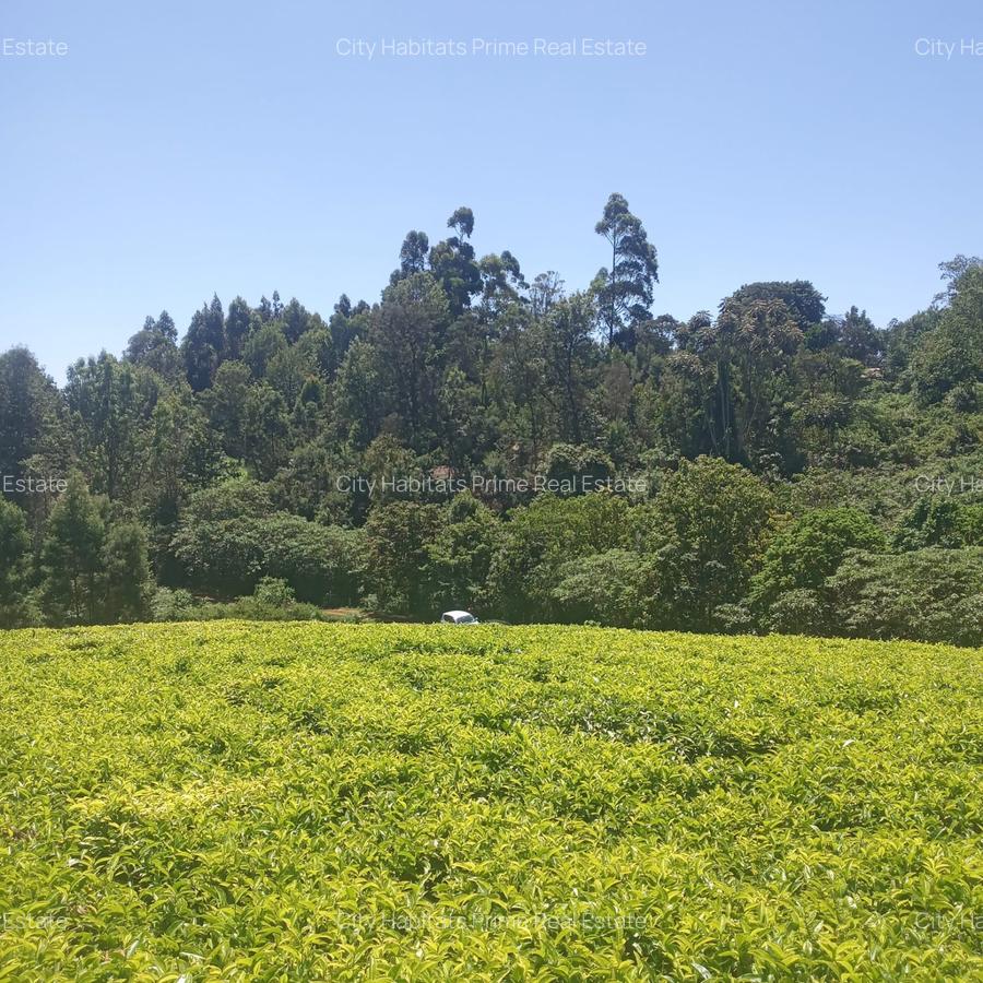 0.5 ac Residential Land in Tigoni - 3