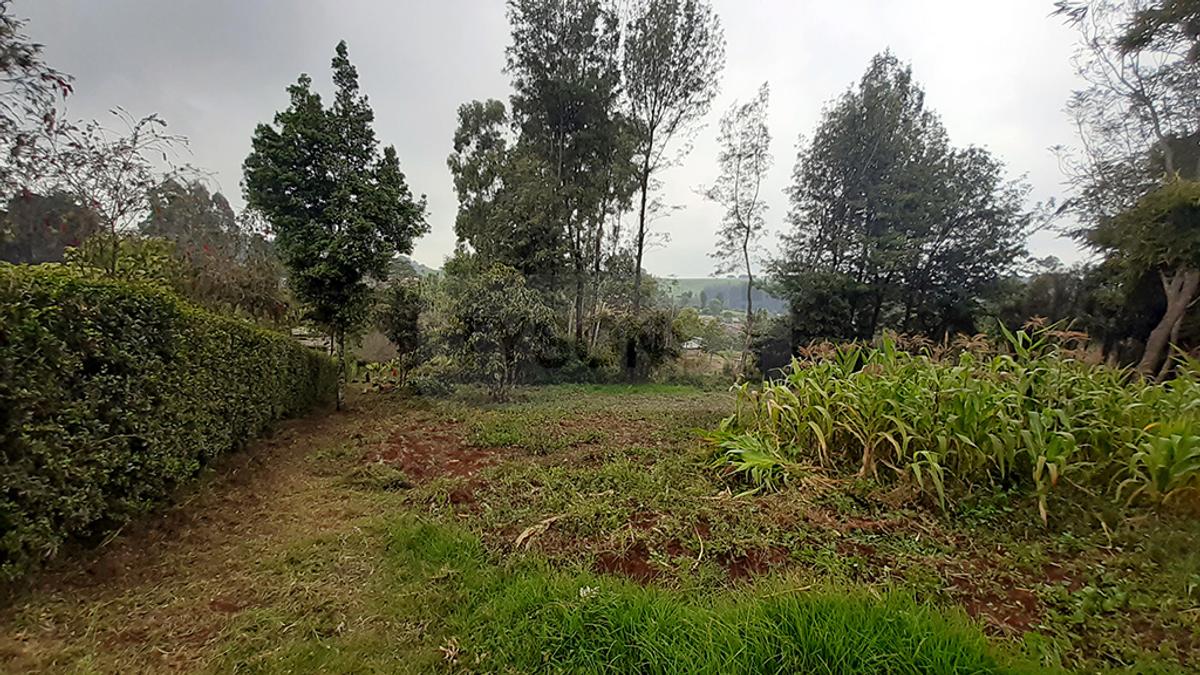 0.125 ac Land in Limuru - 1