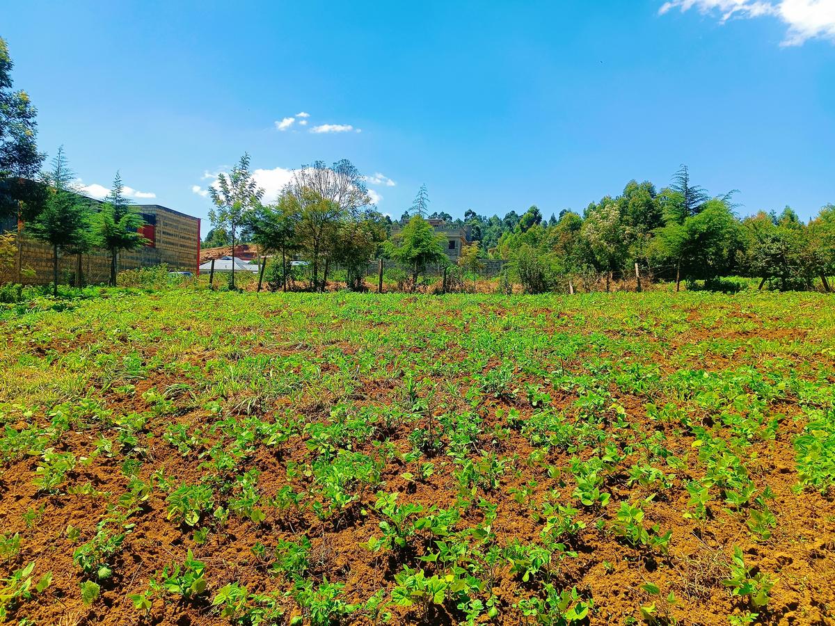 500 m² Residential Land at Runana Area - 2