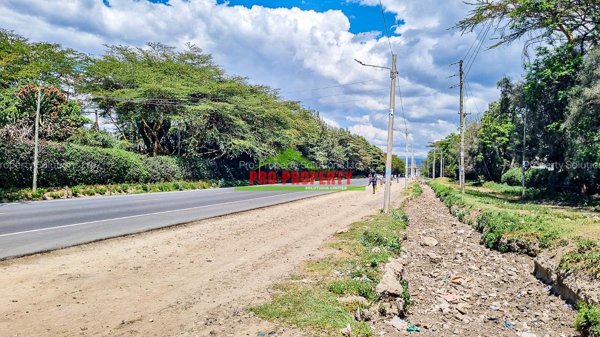 0.05 ha Residential Land in Naivasha - 3