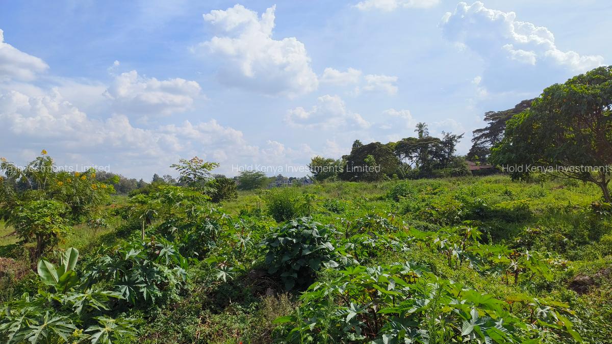 20 ac Land at Muthaiga North Road - 7