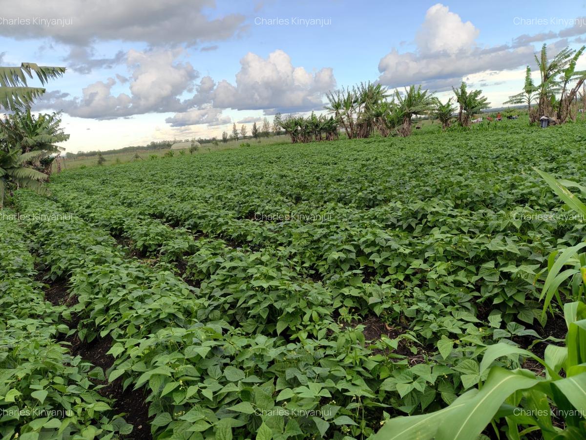 10.75 ac Land at Kisaju - 4