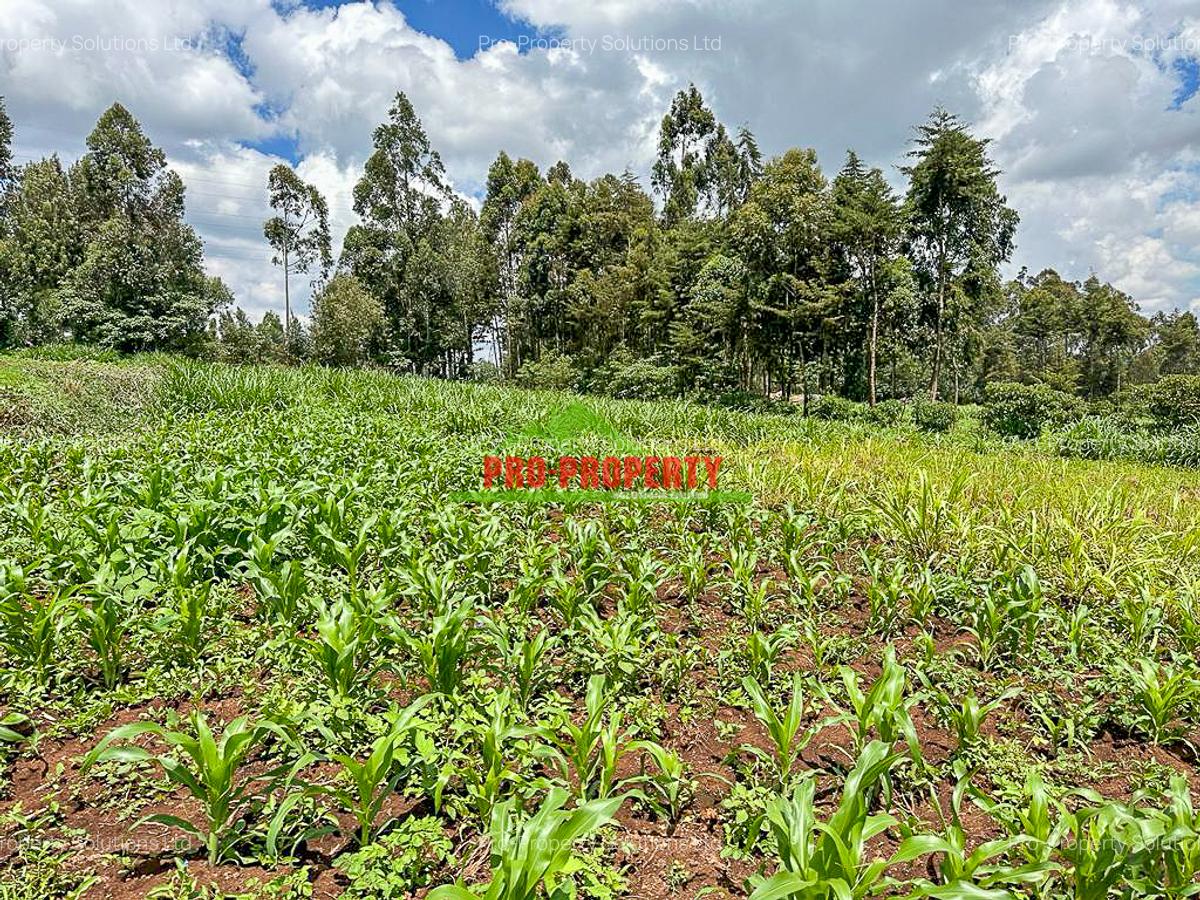 0.05 ha Commercial Land in Rironi - 9