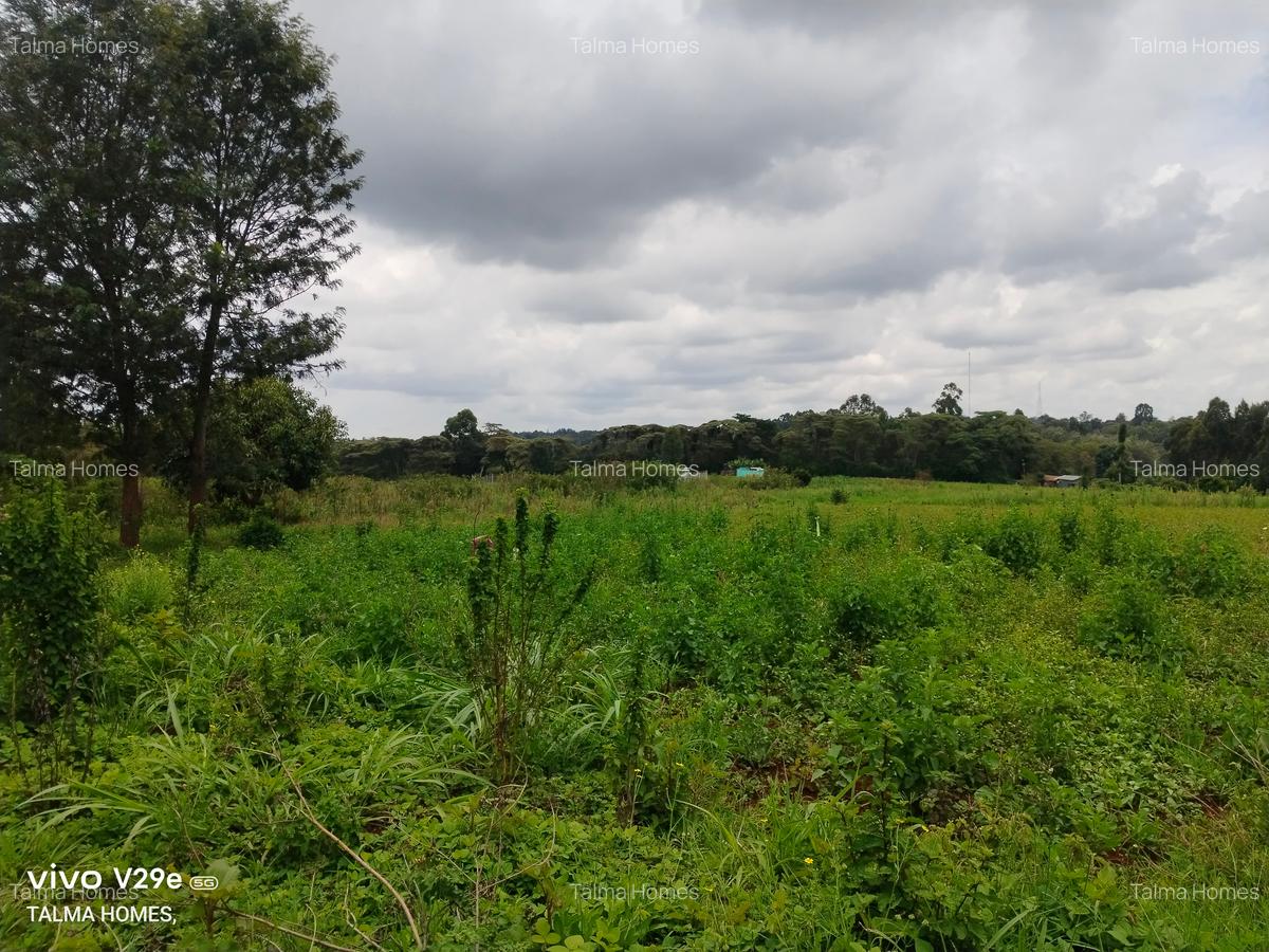 1 ac Land at Kerarapon Drive - 2
