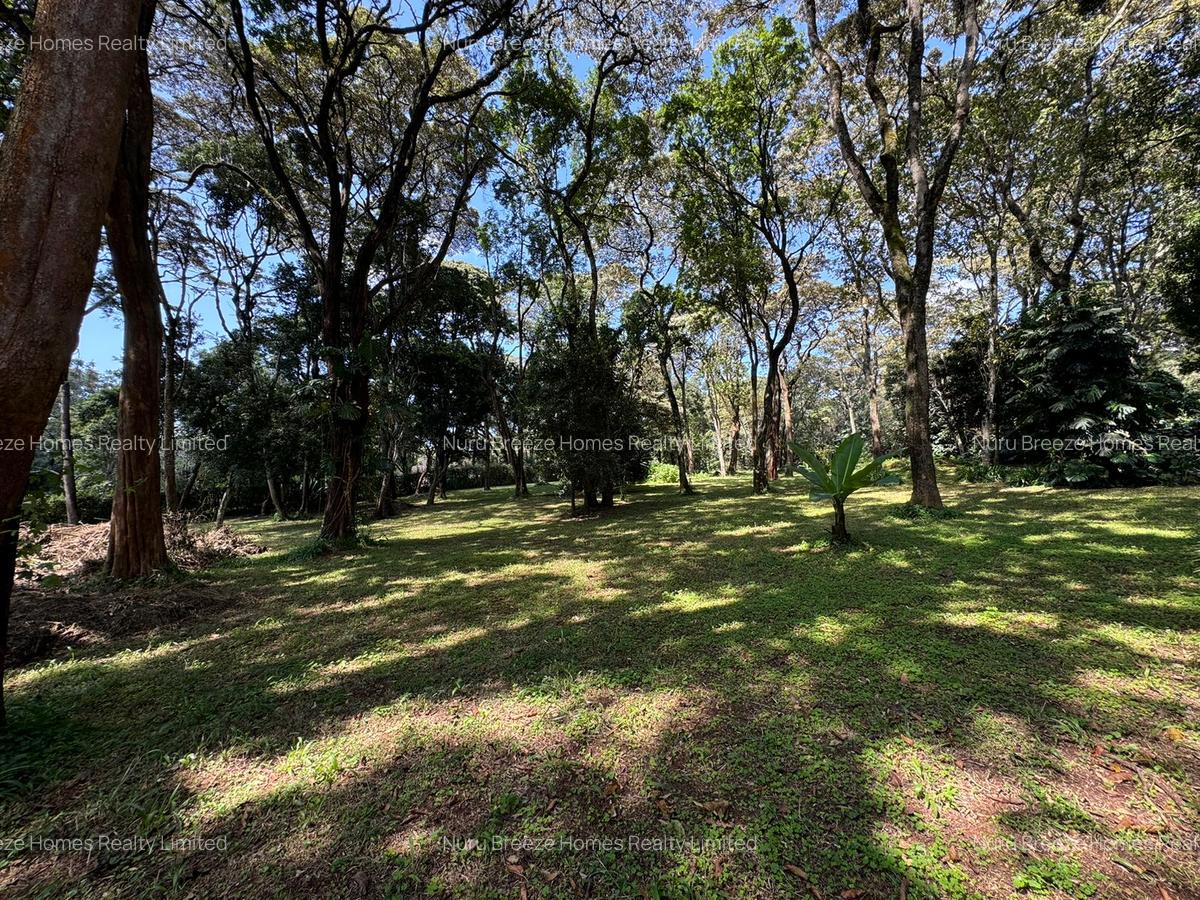 1 ac Land in Karen - 11