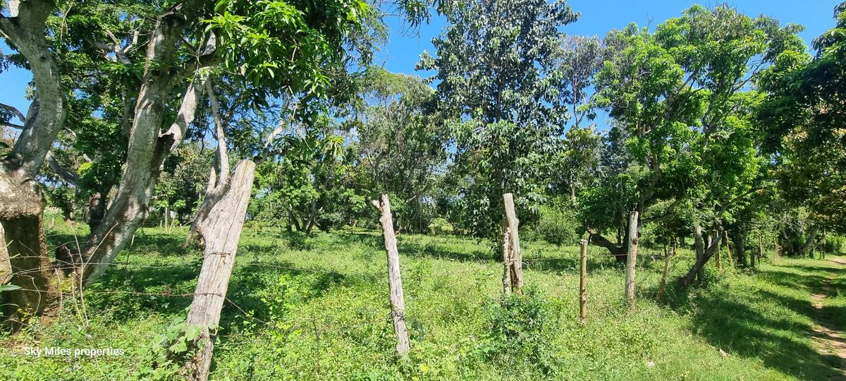 25 ac Land at Mtwapa - 19