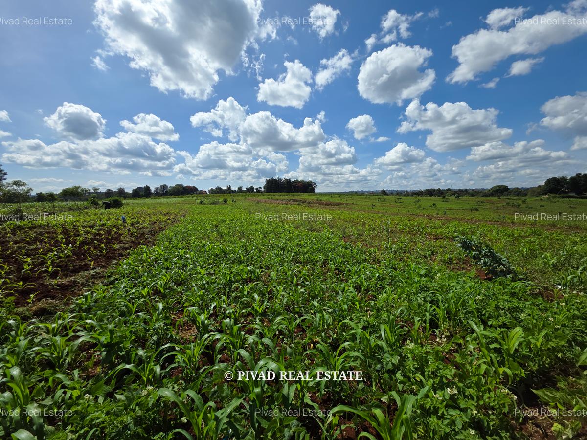 10 ac Land at New Kitisuru - 1