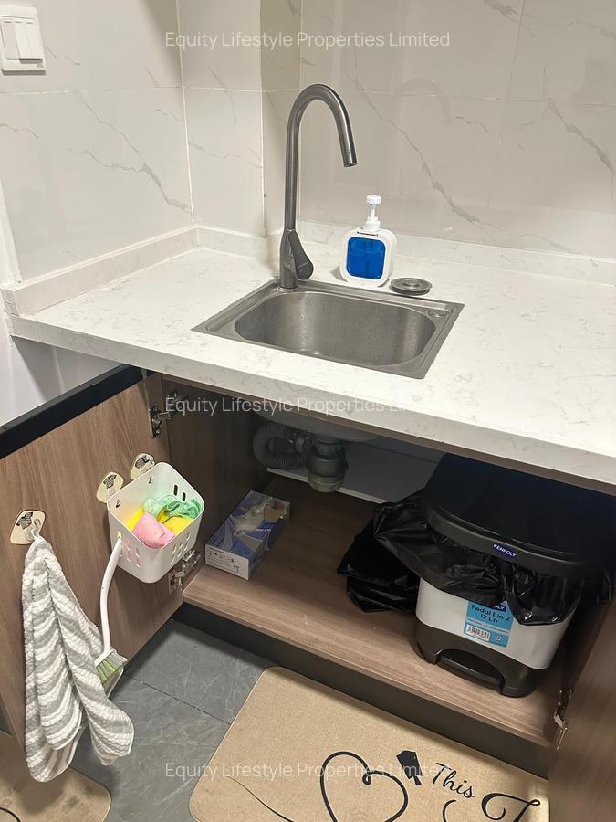 Furnished 1 Bed Apartment with En Suite in Riverside - 7