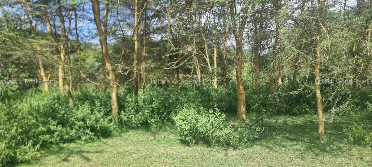 5.5 ac Land in Naivasha - 3