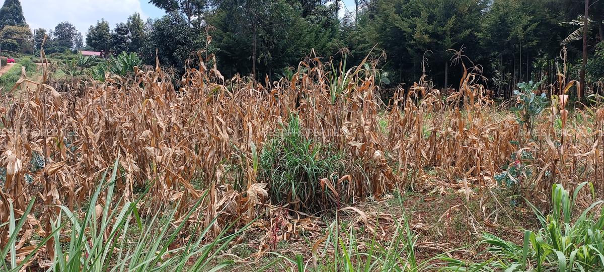 Residential Land at Gathiga - 2