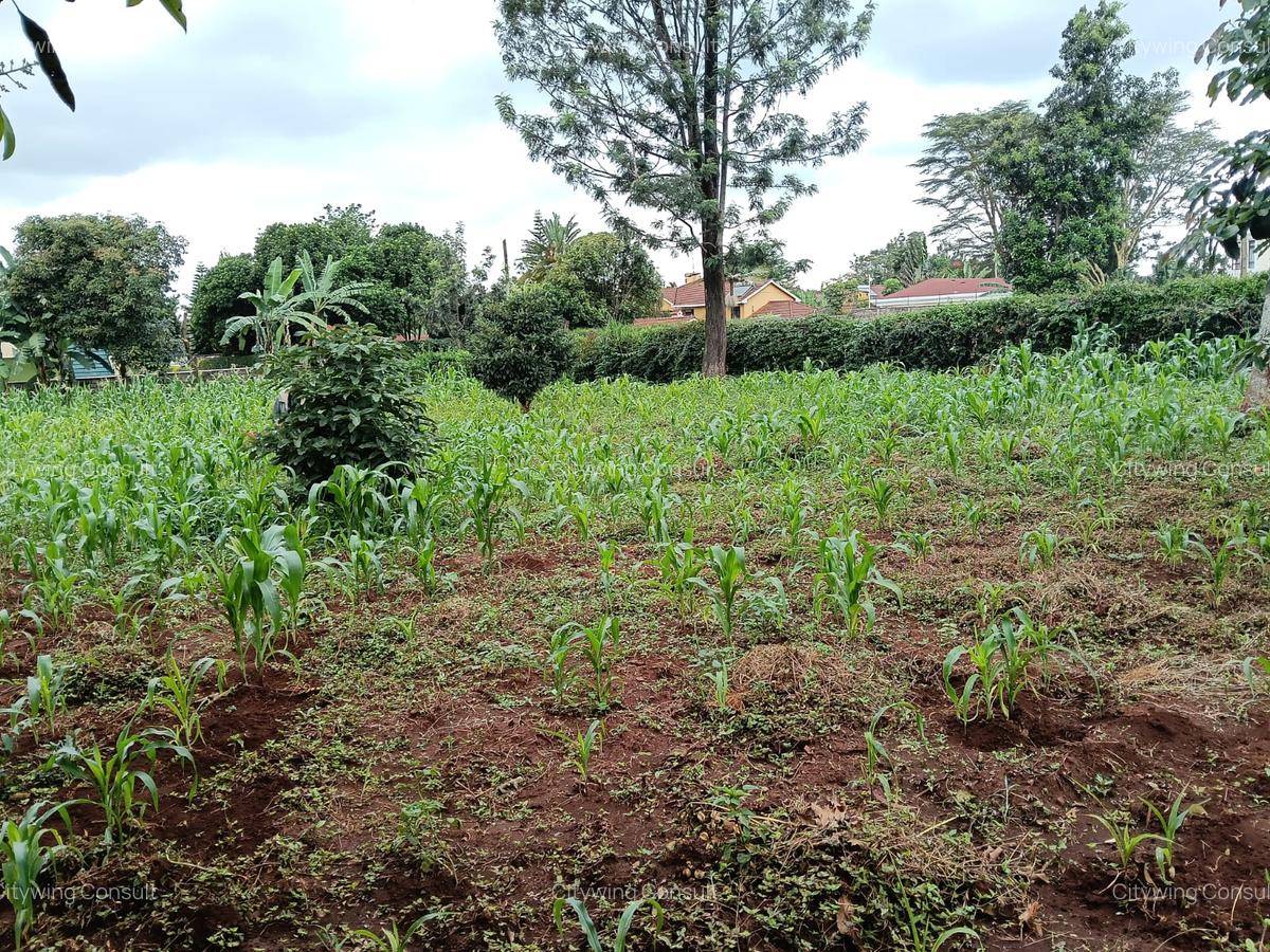 Land at Mimosa Road - 2