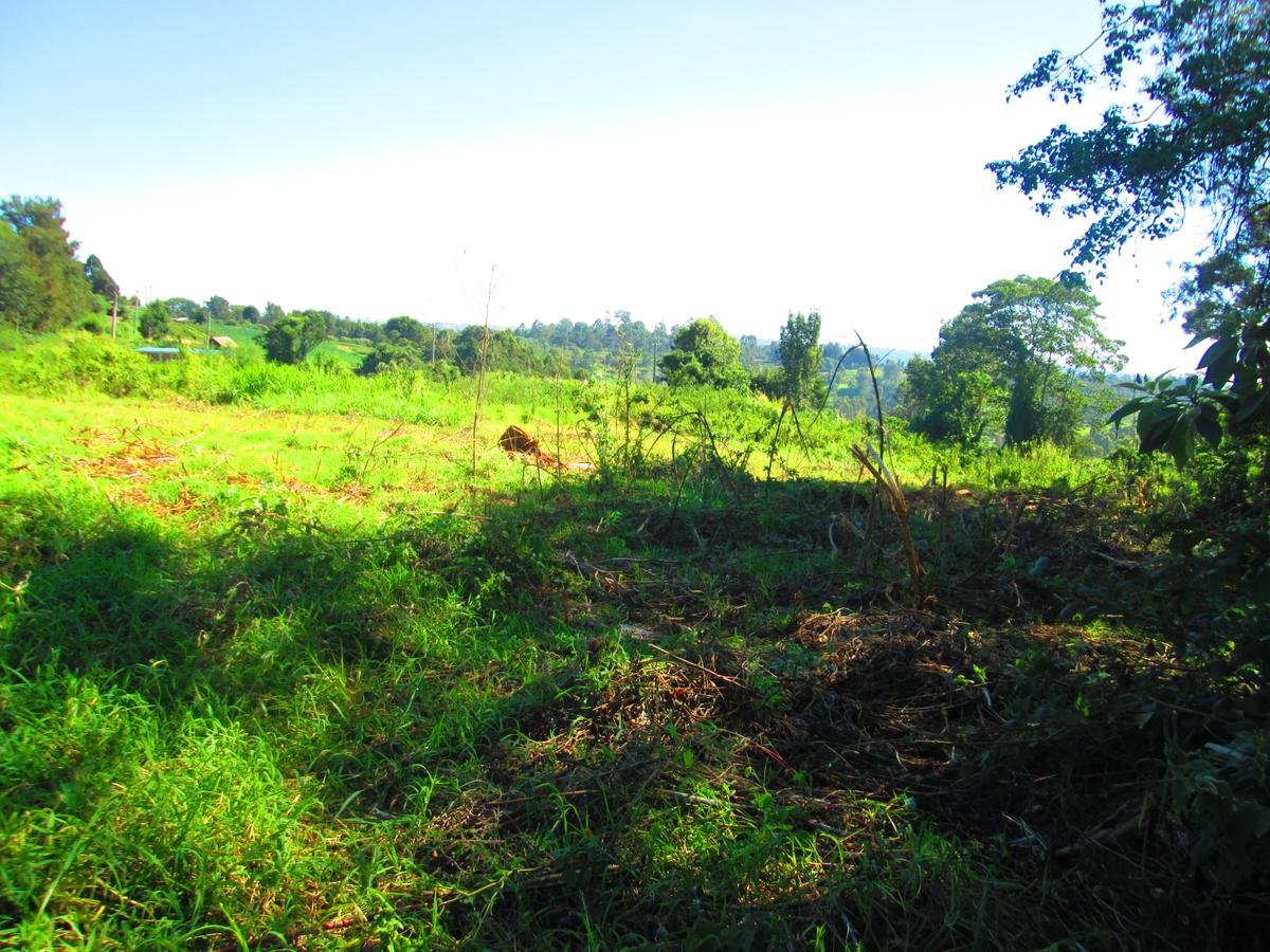 0.25 ac Residential Land at St. Julian Ack Center - 6