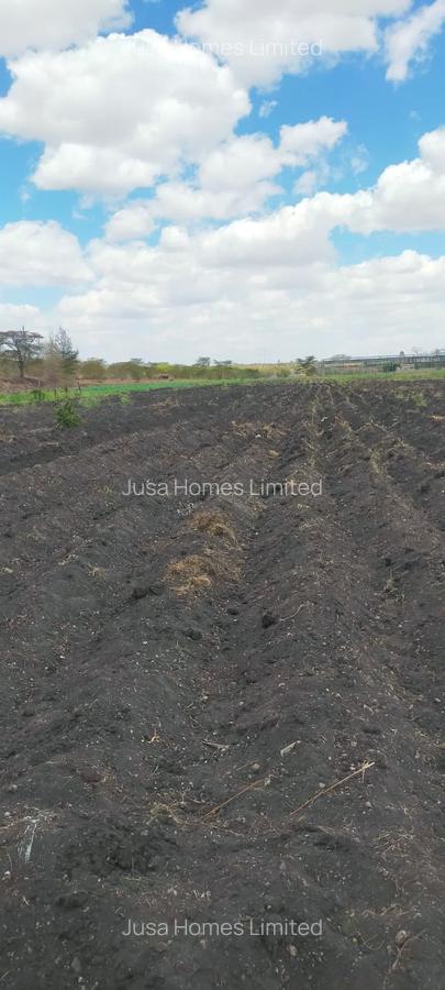 39 ac Land in Malaa - 8