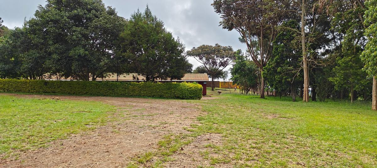 Commercial Property in Limuru - 6