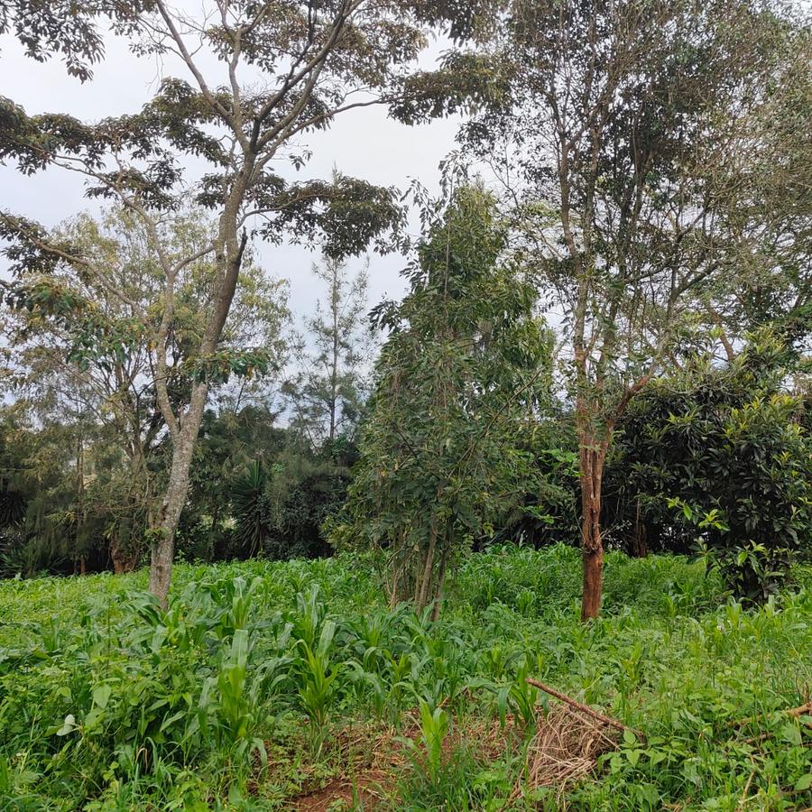 1 ac Land at Ngong - 17