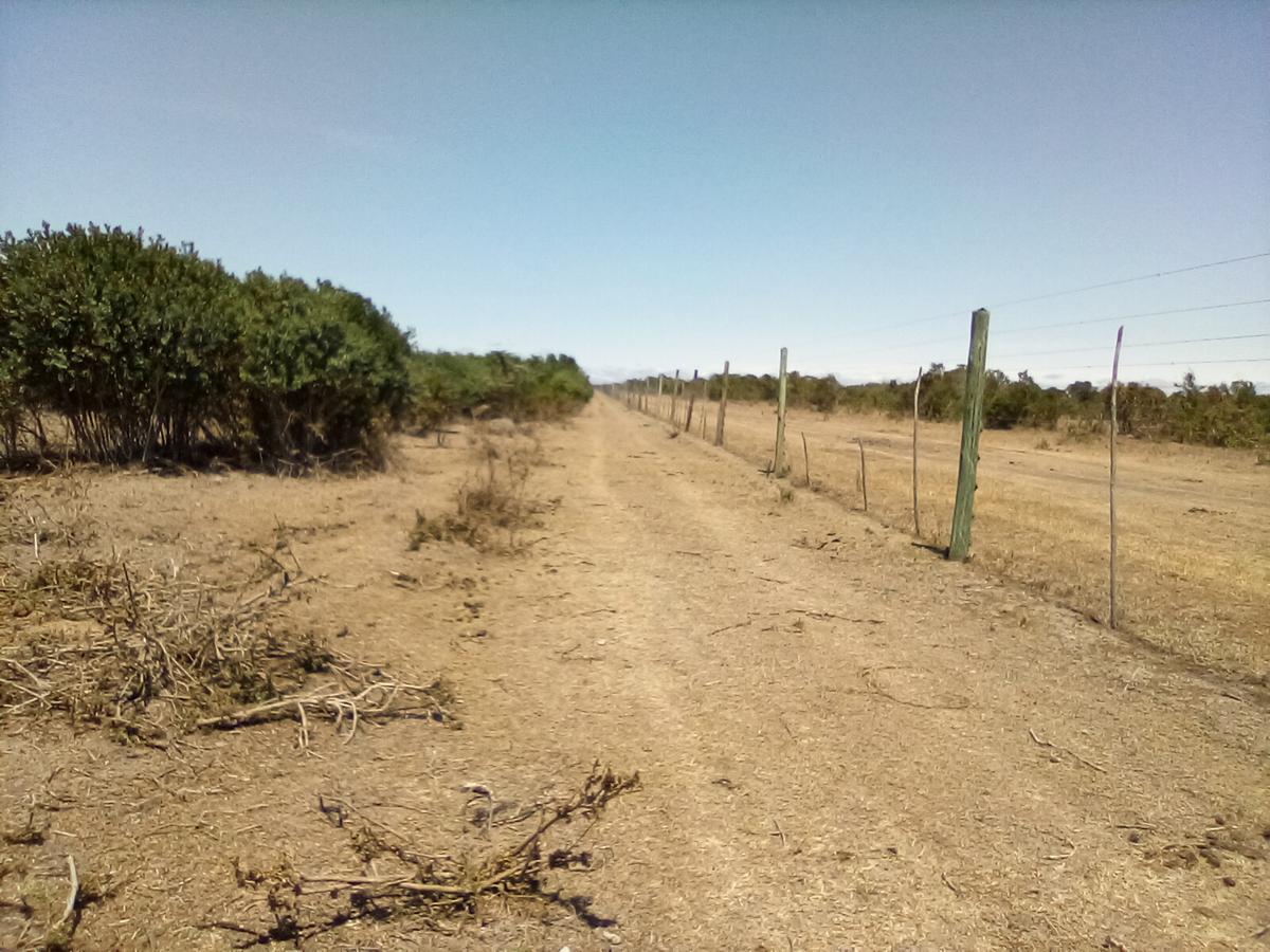 Land at Nanyuki - 19