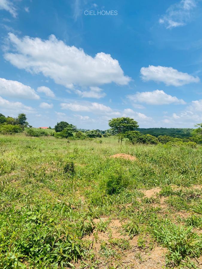 19 ac Land at Kenol-Makutano Highway - 8