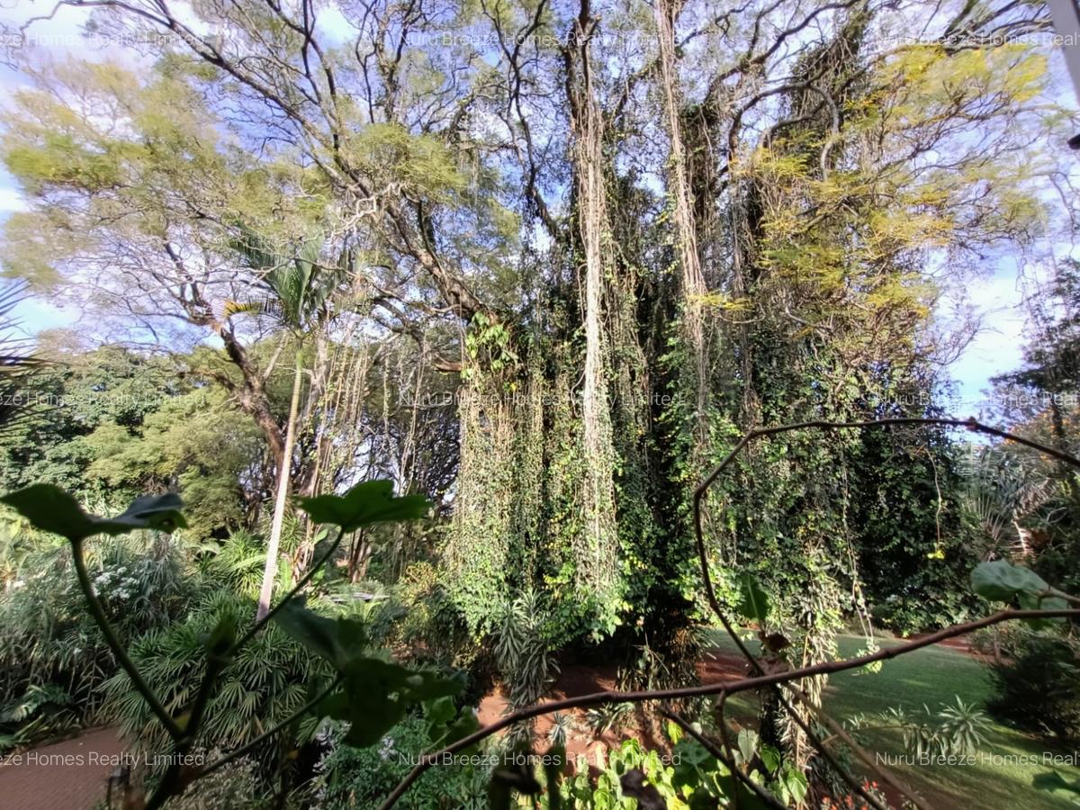 1 ac Land in Lavington - 1