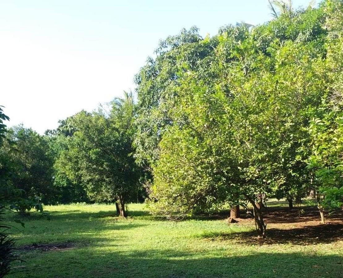 Residential Land in Nyali Area - 6