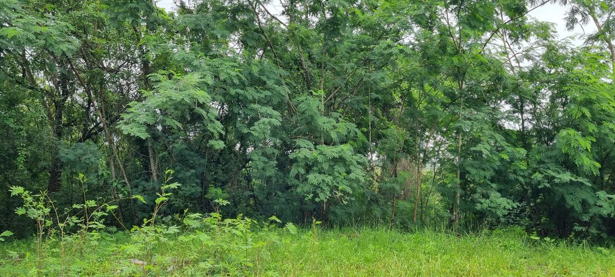 6 ac Land at Mtwapa Creekside - 10